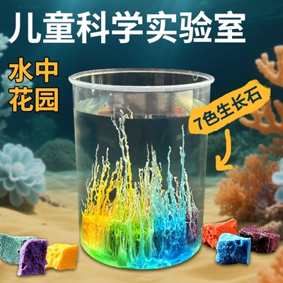 儿童科学实验手工材料包水中花园石头diy小学生套装玩具化学生长