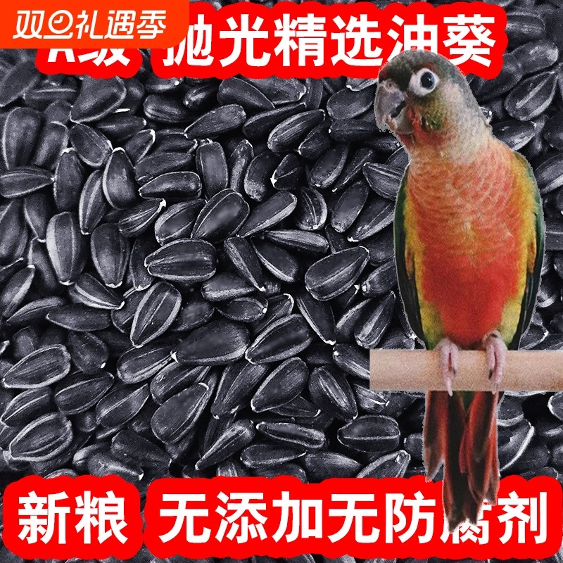 鹦鹉瓜子油葵仓鼠鸟粮专用饲料奖励零食黑珍珠小太阳种子金丝熊粮