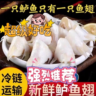 新鲜鲈鱼翅鱼下巴冷冻鱼鳍翅新鲜海鲈鱼翅鱼鳍250g一包批发商用