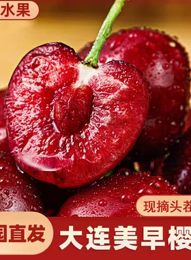大连美早樱桃新鲜现摘应当季时令鲜果5J送礼装国产孕妇车厘子