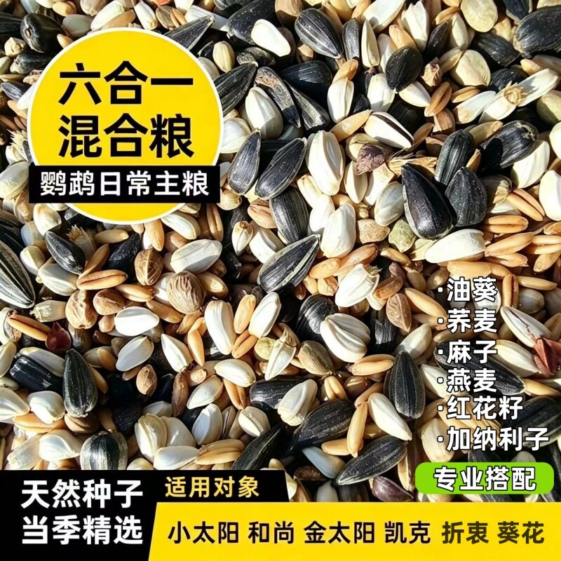 小太阳鸟粮专用和尚鸟饲料营养鸟食种子粮混合粮粮食八哥荞麦燕麦