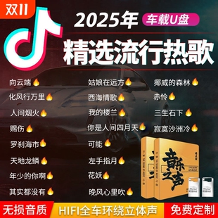 车载u盘歌曲2025新款 老歌音响dj音乐u盘 抖音流行音乐之声无损经典