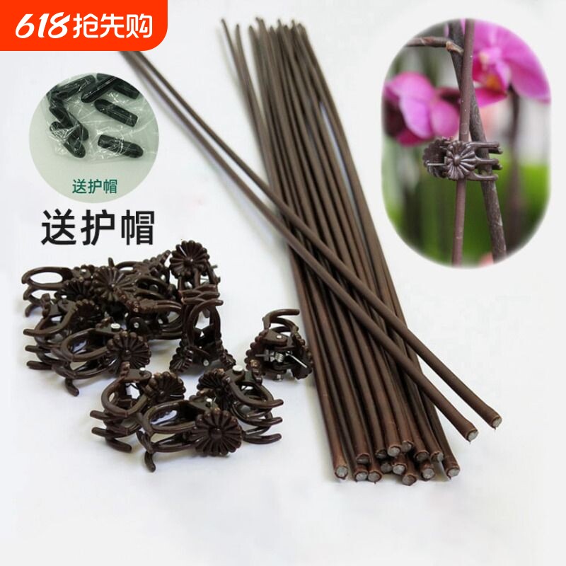蝴蝶兰花植物支撑杆支架兰夹子爬藤花卉固定蔓藤类专用园艺兰花夹