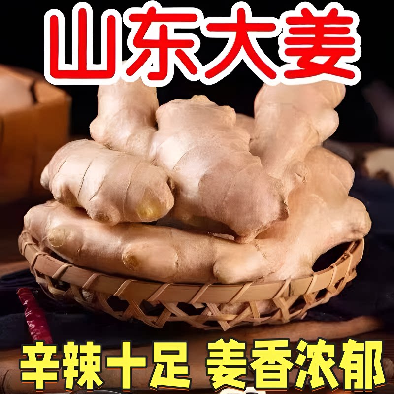 山东大姜老姜生姜风干姜新鲜老黄姜1斤3斤5斤包邮农场当季食用