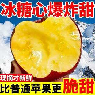 超稀有爆炸冰糖心苹果丑苹果新鲜现摘红富士脆甜苹果一整箱批发价