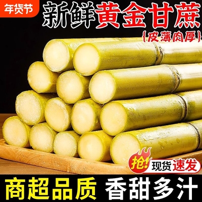 广西黄金甘蔗9斤当季新鲜脆甜黄皮甘蔗中段热带水果正宗特产包邮