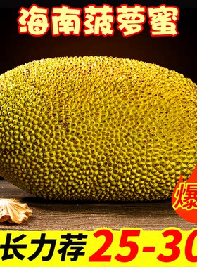 海南黄肉菠萝蜜一整个20-25斤起甜脆包邮当季新鲜现摘树上熟热带