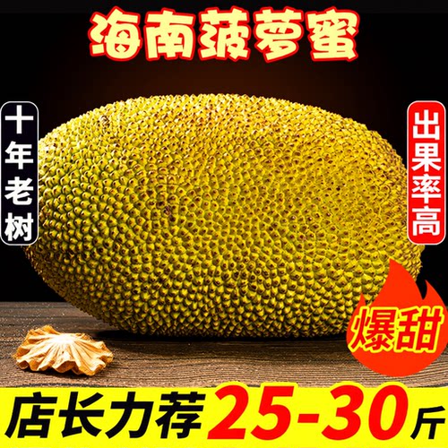 海南黄肉菠萝蜜一整个20-25斤起甜脆包邮当季新鲜现摘树上熟热带