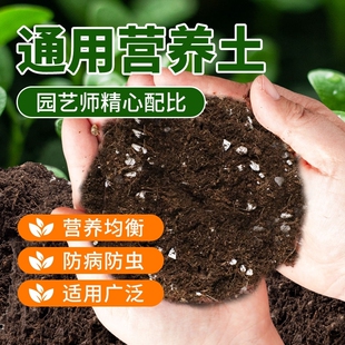 营养土养花通用专用土壤种植土种菜绿植物多肉育苗家用盆栽种花土