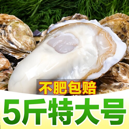 大连生蚝非乳山生蚝鲜活新鲜特大带箱海蛎子海鲜牡蛎水产