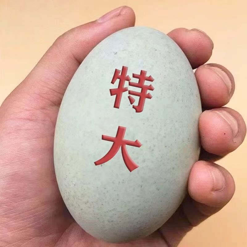 皮蛋湖北特产正宗无铅松花蛋特大鸭蛋变蛋溏心蛋批发传统新鲜食品