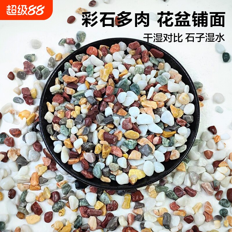 天然彩石多肉盆栽鹅卵石鱼缸造景底砂彩色石子装饰小石头花盆铺面