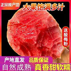 放软吃广东化州红心芭乐软糯番石榴奶油当季新鲜水果冰淇淋大果