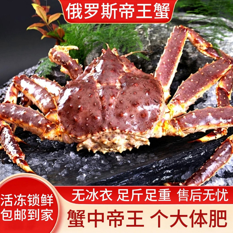 鲜活冻帝王蟹鲜活速冻俄罗斯进口图片