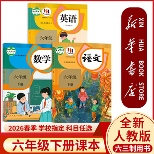 教材6六下语数英人民教育出版 新华书店正版 语文书数学英语26春季 2025新版 社教科书六三制写字起点化学 六年级下册全套课本人教版