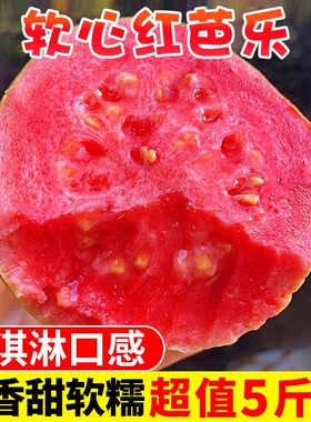 【坏果包赔】软糯红心芭乐