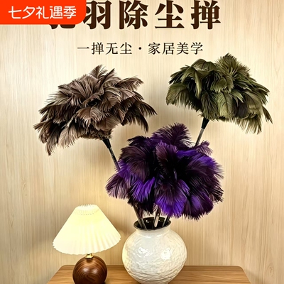 可伸缩鸵鸟毛静电除尘掸