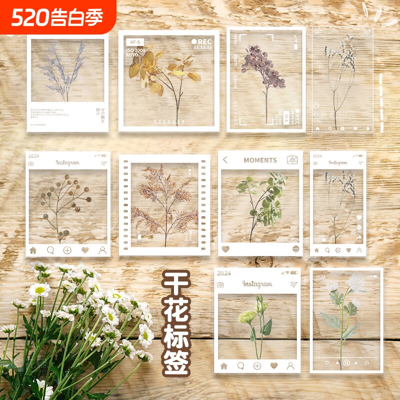 学生干花书签大号手工diy材料包透明标本自制树叶花朵植物压花春收