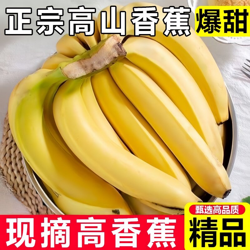 云南高山甜香蕉9斤当季新鲜水果青蕉特产现摘整箱自提送达