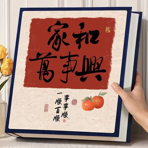 相册收纳本混合尺寸麂皮绒插页式