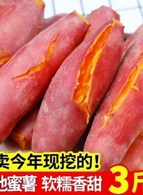 26年沙地蜜薯红薯黄心新鲜番薯糖心地瓜板栗自提自种非西瓜红红心