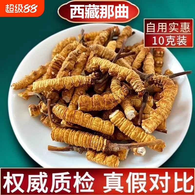西藏那曲冬虫夏草正宗野生虫草冬虫草正品干货断草滋补藏区高海拔