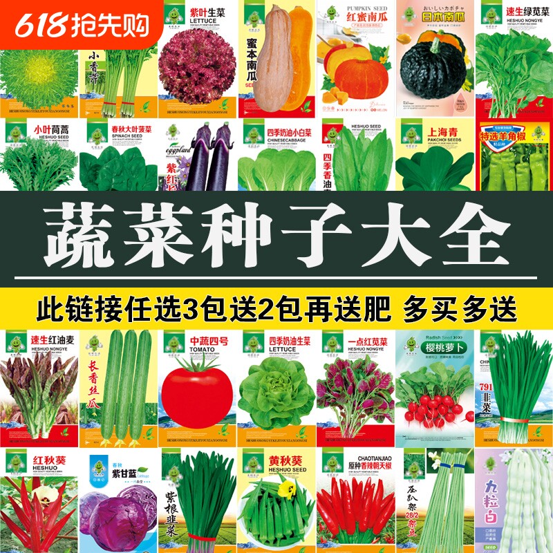 四季蔬菜种子黄秋葵红秋葵香菜青菜阳台盆栽种植生菜丝瓜甘蓝水果