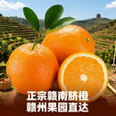 包邮 江西赣南脐橙赣州果园现摘皮薄肉厚当季 新鲜香甜橙子产地整箱