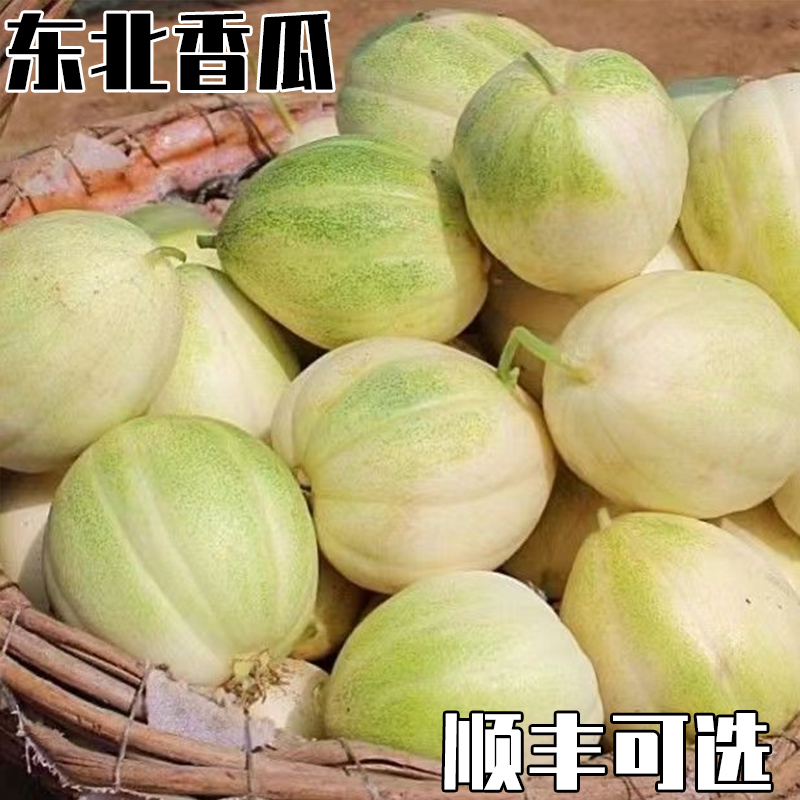 发顺丰大地香瓜甜瓜甜脆黄白皮水果蔬菜瓜果花姑娘京蜜白糖罐随机