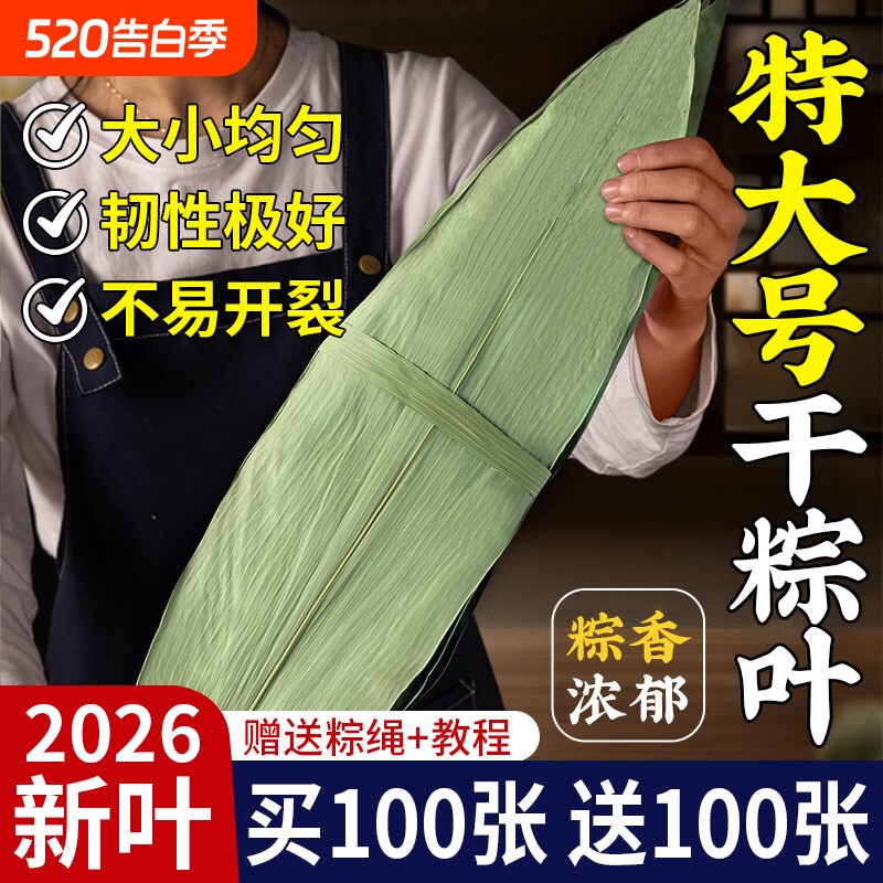 粽子叶棕叶新鲜大号新叶包粽子专用的叶子端午节商用批发干粽叶大