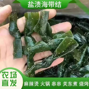 新鲜盐渍海带结整箱商用火锅麻辣烫凉拌关东煮串串香鸭货卤料食材