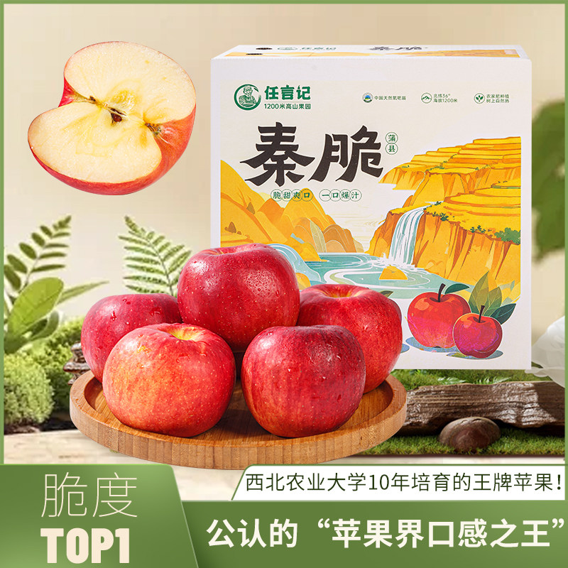 秦脆苹果正宗山西苹果脆甜多汁新鲜水果当季现发整箱,水产肉类/新鲜蔬果/熟食,苹果,淘宝优惠券,粉丝福利购,淘宝优惠卷