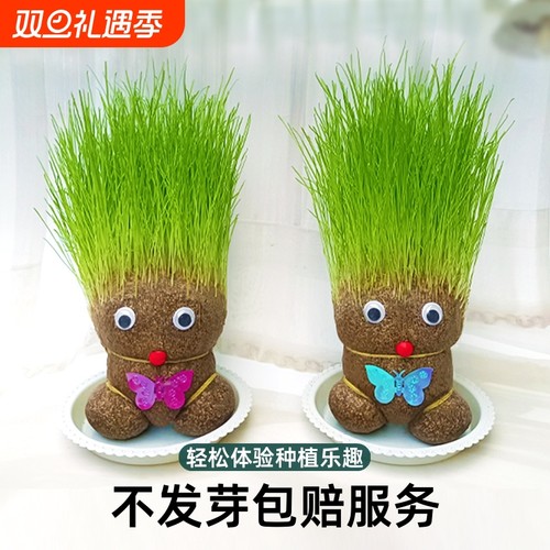 创意长草娃娃小盆栽简单好养