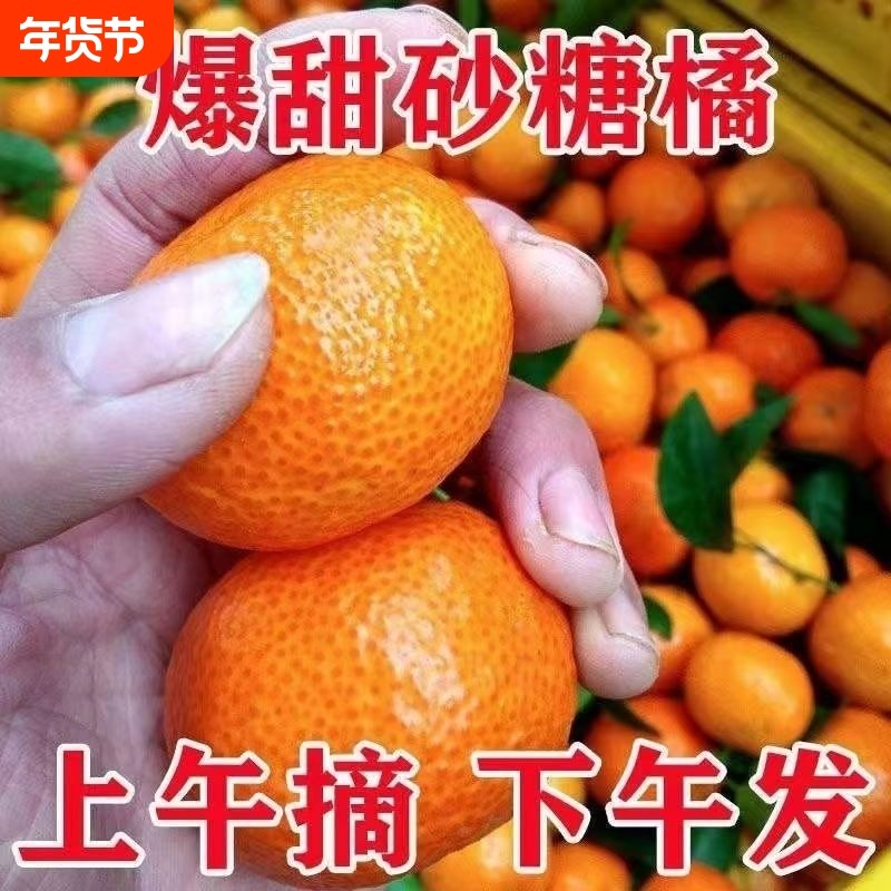 正宗广西砂糖橘9斤新鲜水果当季橘子无籽小沙糖桔子包邮现摘源头,水产肉类/新鲜蔬果/熟食,桔子,淘宝优惠券,粉丝福利购,淘宝优惠卷