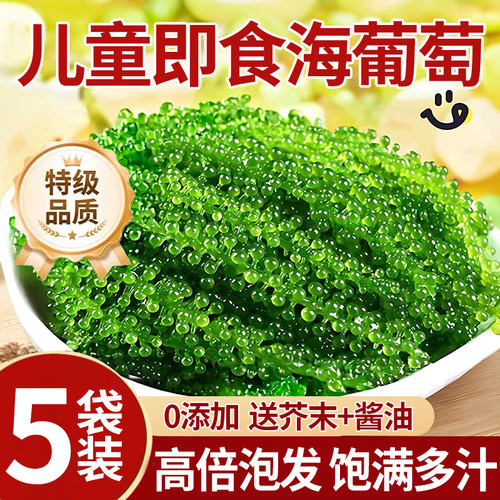 海葡萄儿童即食新鲜盐渍鱼子酱海带草丝海藻裙带菜助成长营养健康