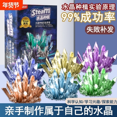 水晶种植DIY儿童科学实验套装趣味亲子交流化学实验生长结晶原理