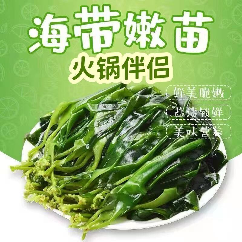 海带苗嫩芽福建霞浦特产小海带新鲜盐渍袋装嫩苗凉拌火锅食材商用图片