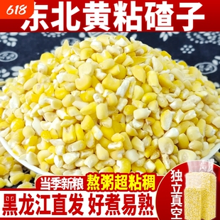 东北黄粘玉米碴子5斤新玉米碴农家大渣粥粗粮非转基因黏苞米茬子