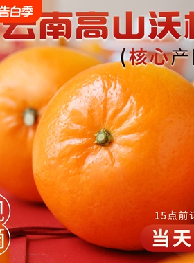 广西武鸣沃柑新鲜水果当季整箱时令10沙糖斤蜜橘砂糖柑橘桔子橘5