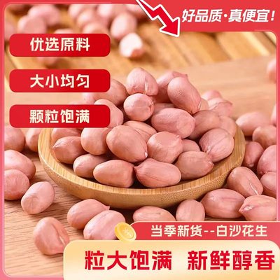 当季新货花生米不带壳生花生米花生仁新鲜白沙花生米颗粒饱满