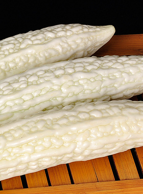 山东新鲜长白苦瓜当季农家自种现摘纯白色苦瓜脆苦瓜精品白苦瓜