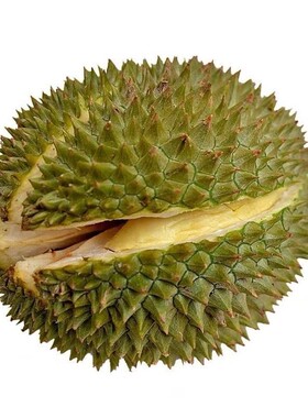 泰国榴莲金枕头鲜果树熟榴莲新鲜当季一整个带壳