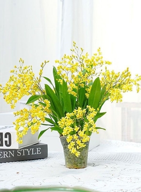 带花苞多花剑金黄色梦香兰盆栽浓香室内花卉绿植好养易活客厅好养