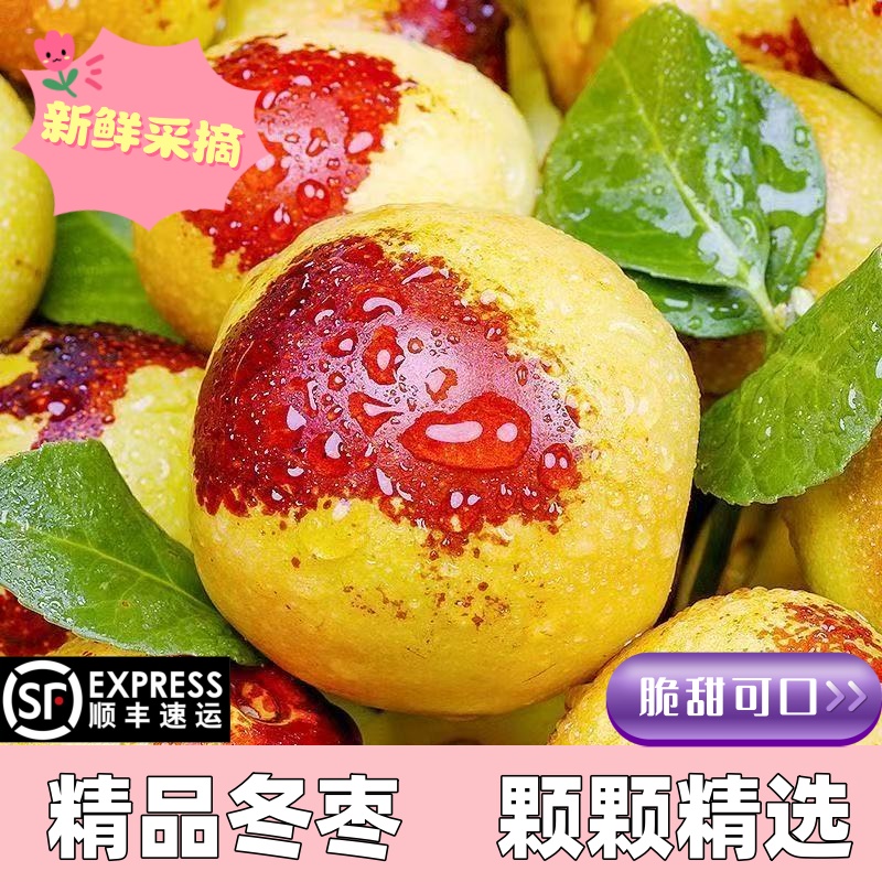 顺丰包邮正宗冬枣新鲜大果应季整箱枣子现摘脆枣冰糖大枣当季水果