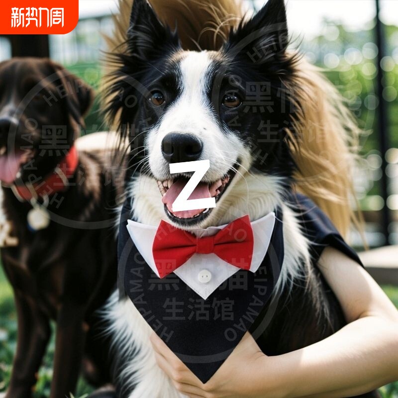 宠物狗狗绅士领结围脖柯基法斗金毛边牧中大型犬婚礼口水巾可调节