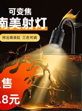 三定时迷你鱼缸射灯鱼缸灯南美造景水草灯led原生缸灯小缸发光