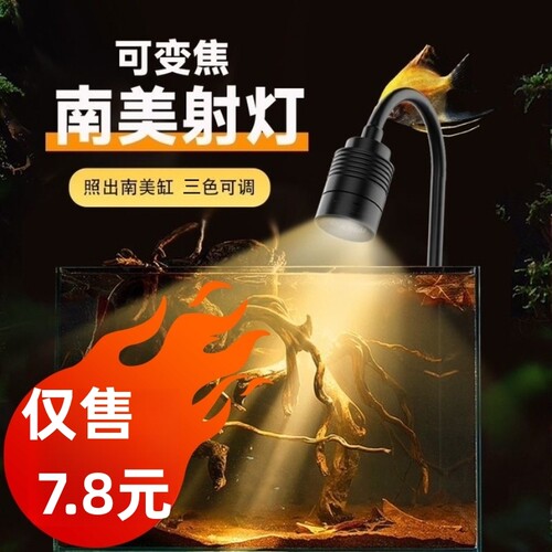 三定时迷你鱼缸射灯鱼缸灯南美造景水草灯led原生缸灯小缸发光
