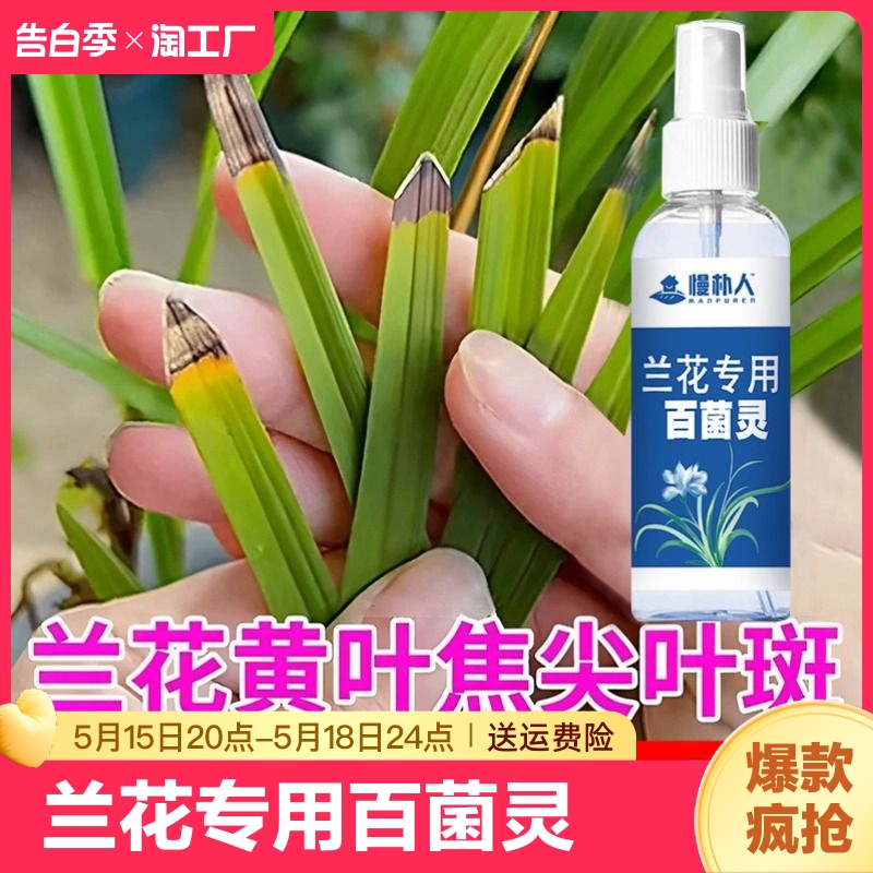 兰花专用百菌灵枯草芽孢菌菌剂