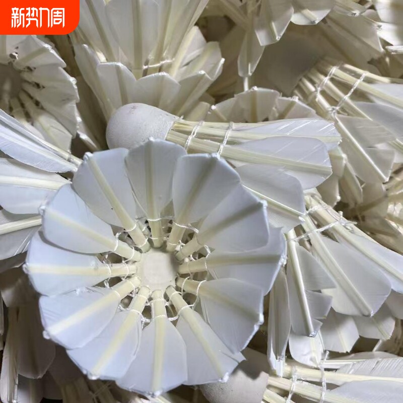 羽毛球8孔12孔14孔泡沫球头台纤初级入门白色练习便宜娱乐