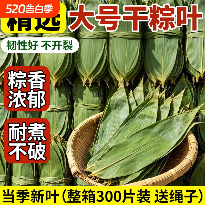 粽子叶粽叶干大号棕叶新鲜包粽子的竹叶子干粽叶商用箬叶批发材料